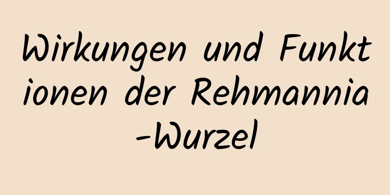 Wirkungen und Funktionen der Rehmannia-Wurzel