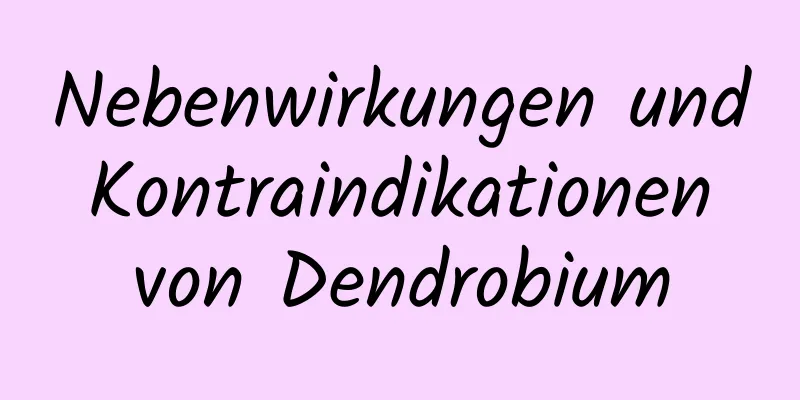 Nebenwirkungen und Kontraindikationen von Dendrobium