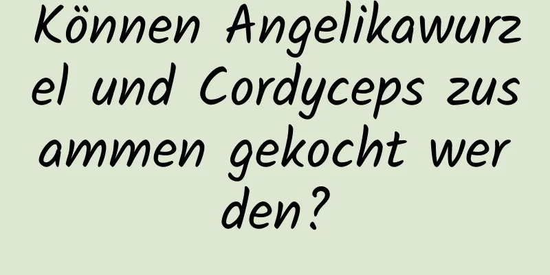 Können Angelikawurzel und Cordyceps zusammen gekocht werden?