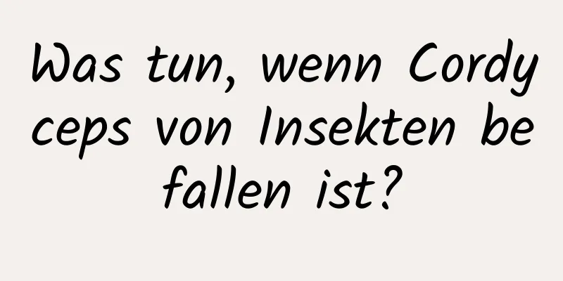 Was tun, wenn Cordyceps von Insekten befallen ist?