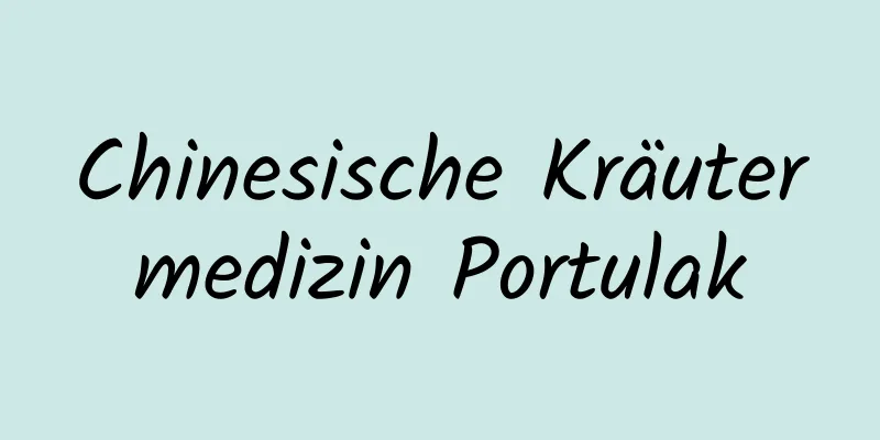 Chinesische Kräutermedizin Portulak