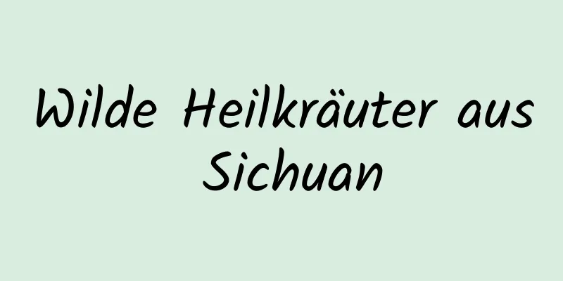 Wilde Heilkräuter aus Sichuan