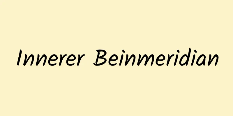 Innerer Beinmeridian