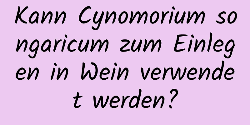 Kann Cynomorium songaricum zum Einlegen in Wein verwendet werden?