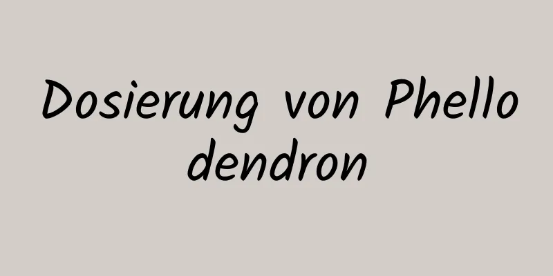 Dosierung von Phellodendron