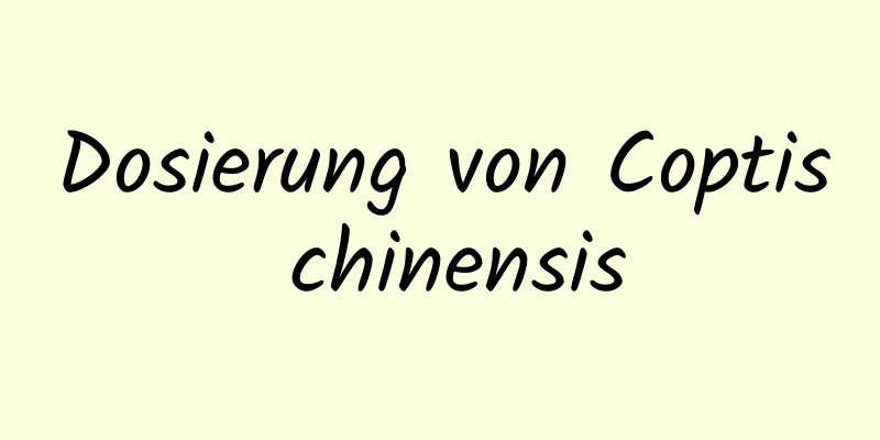 Dosierung von Coptis chinensis