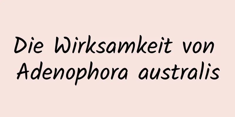 Die Wirksamkeit von Adenophora australis