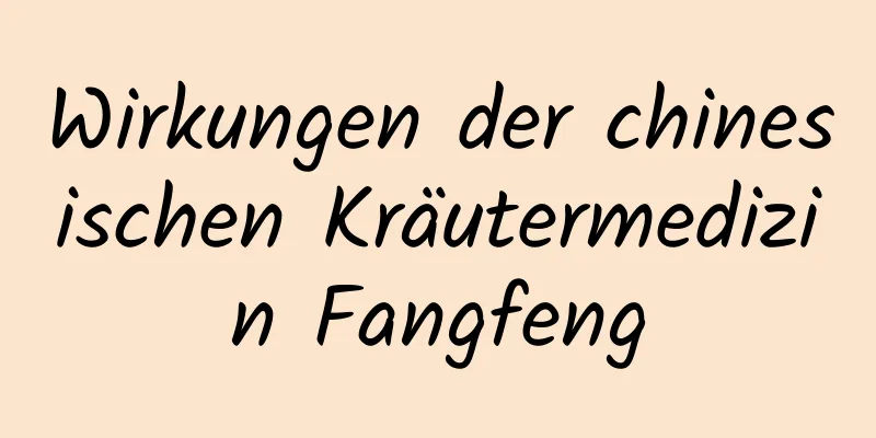 Wirkungen der chinesischen Kräutermedizin Fangfeng