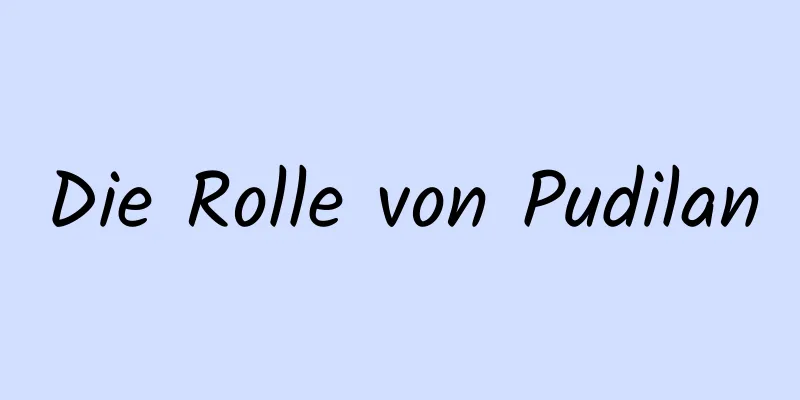 Die Rolle von Pudilan