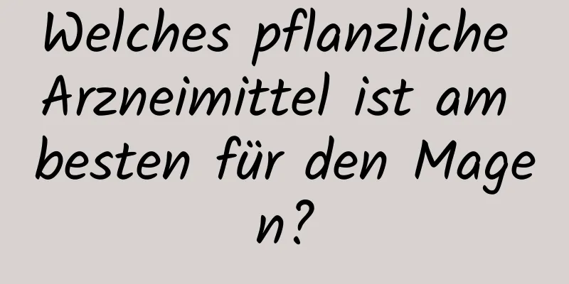 Welches pflanzliche Arzneimittel ist am besten für den Magen?