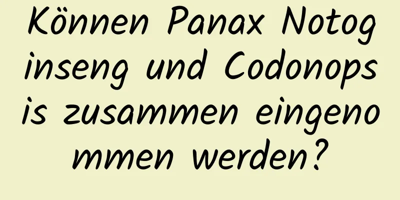 Können Panax Notoginseng und Codonopsis zusammen eingenommen werden?