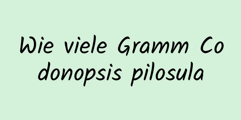 Wie viele Gramm Codonopsis pilosula