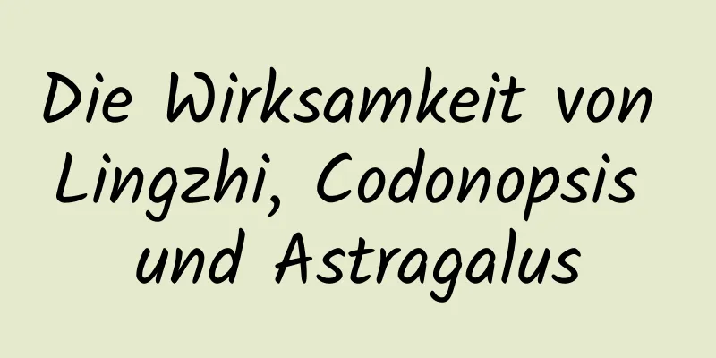 Die Wirksamkeit von Lingzhi, Codonopsis und Astragalus