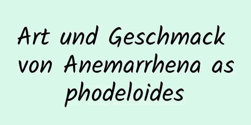 Art und Geschmack von Anemarrhena asphodeloides