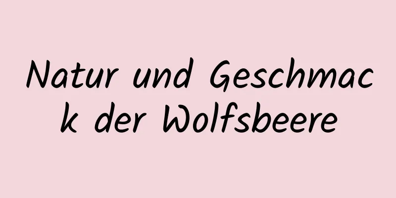 Natur und Geschmack der Wolfsbeere