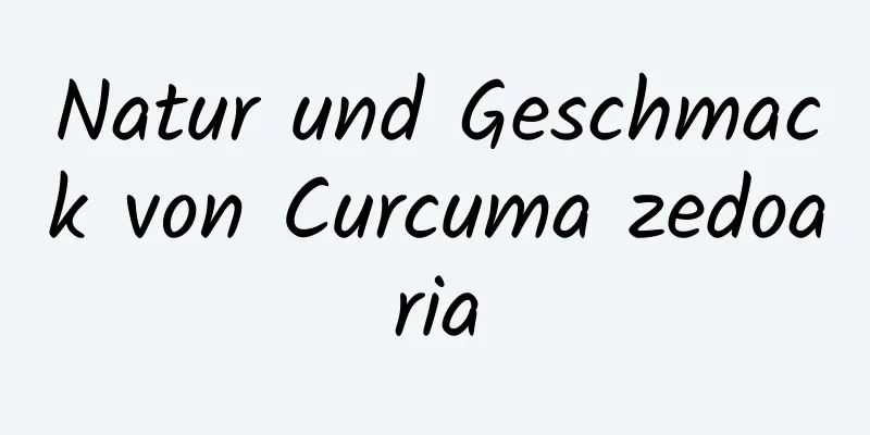 Natur und Geschmack von Curcuma zedoaria