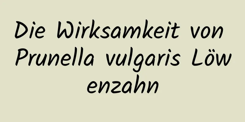 Die Wirksamkeit von Prunella vulgaris Löwenzahn