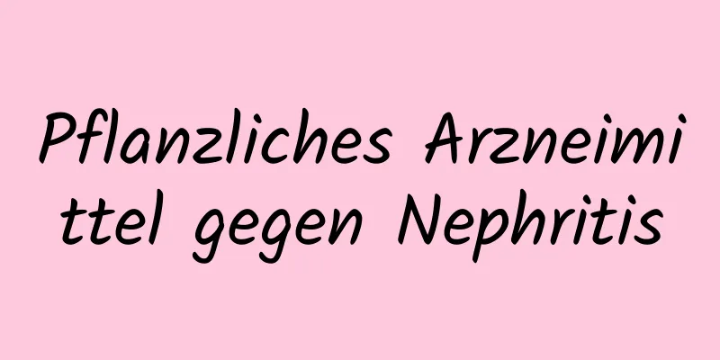 Pflanzliches Arzneimittel gegen Nephritis