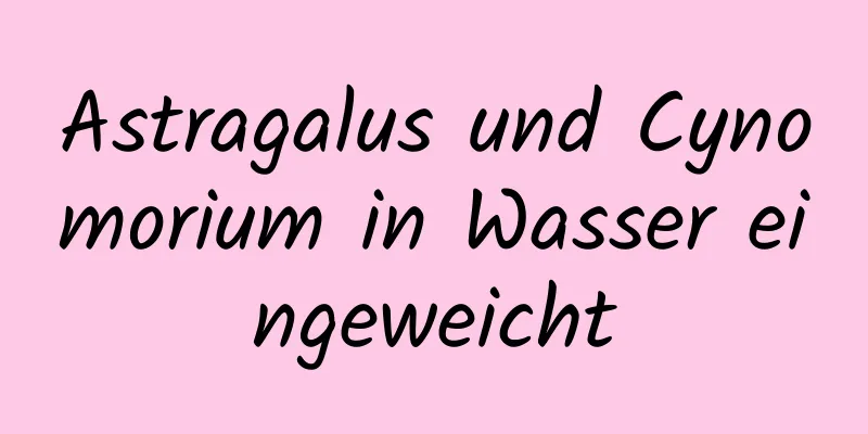 Astragalus und Cynomorium in Wasser eingeweicht