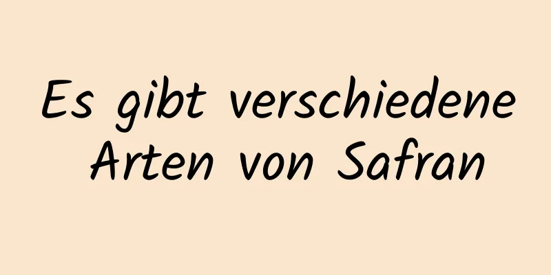 Es gibt verschiedene Arten von Safran