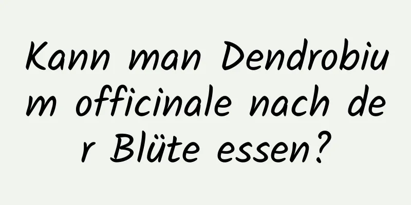 Kann man Dendrobium officinale nach der Blüte essen?