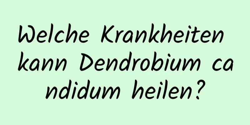 Welche Krankheiten kann Dendrobium candidum heilen?