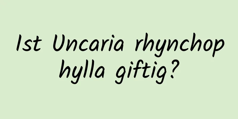 Ist Uncaria rhynchophylla giftig?