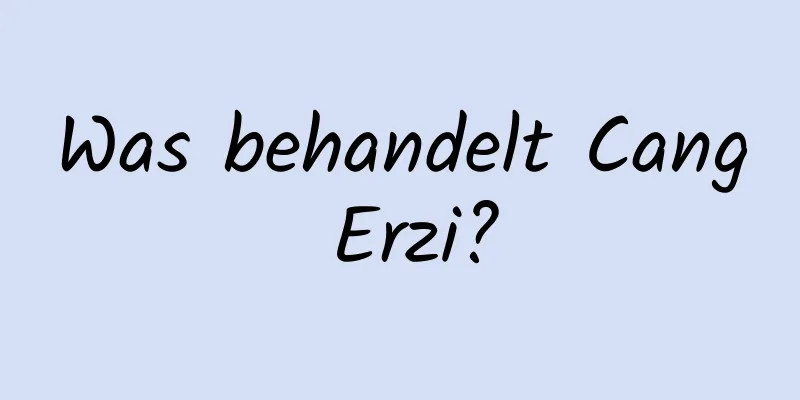 Was behandelt Cang Erzi?