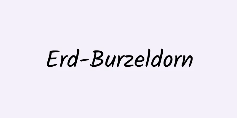 Erd-Burzeldorn