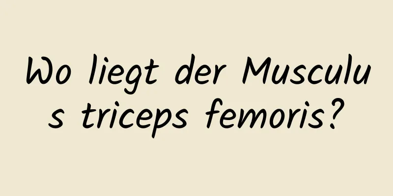 Wo liegt der Musculus triceps femoris?