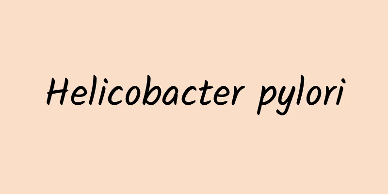 Helicobacter pylori