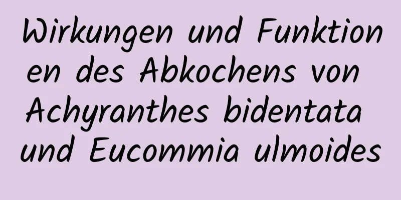 Wirkungen und Funktionen des Abkochens von Achyranthes bidentata und Eucommia ulmoides