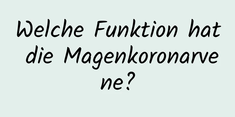 Welche Funktion hat die Magenkoronarvene?