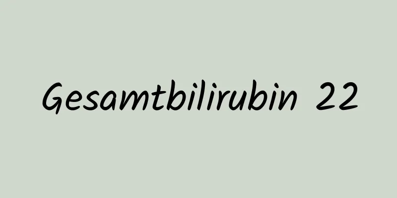 Gesamtbilirubin 22