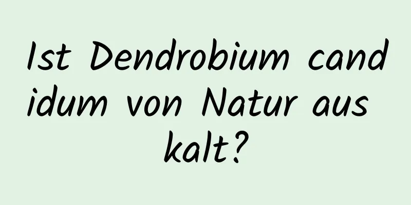 Ist Dendrobium candidum von Natur aus kalt?