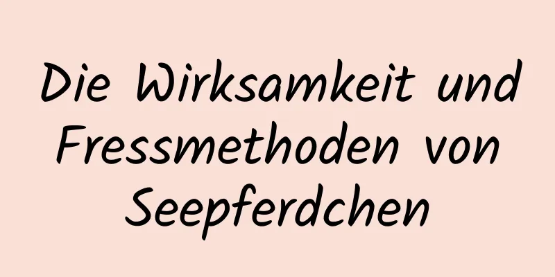 Die Wirksamkeit und Fressmethoden von Seepferdchen