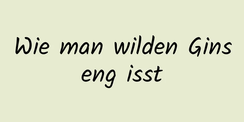 Wie man wilden Ginseng isst