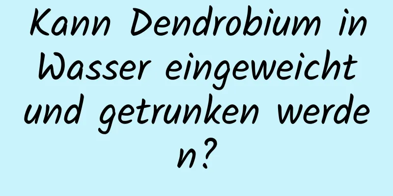 Kann Dendrobium in Wasser eingeweicht und getrunken werden?