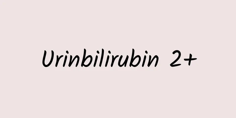 Urinbilirubin 2+