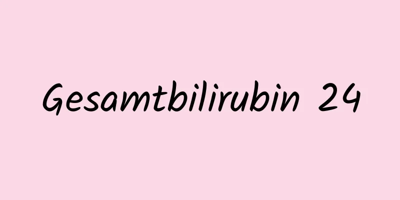 Gesamtbilirubin 24