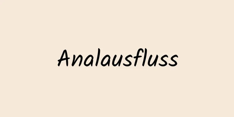 Analausfluss