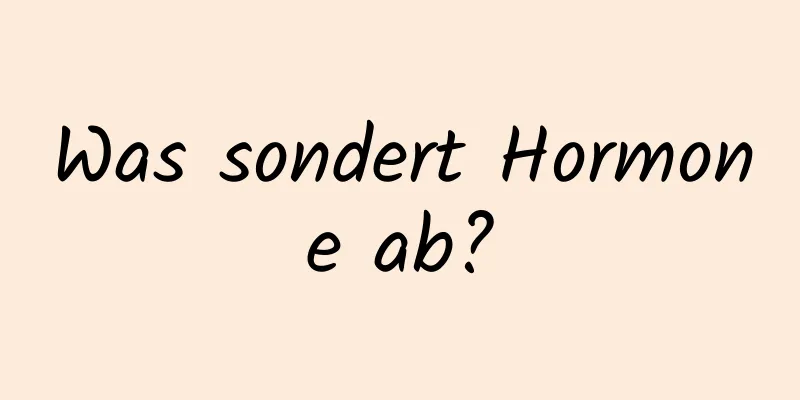 Was sondert Hormone ab?