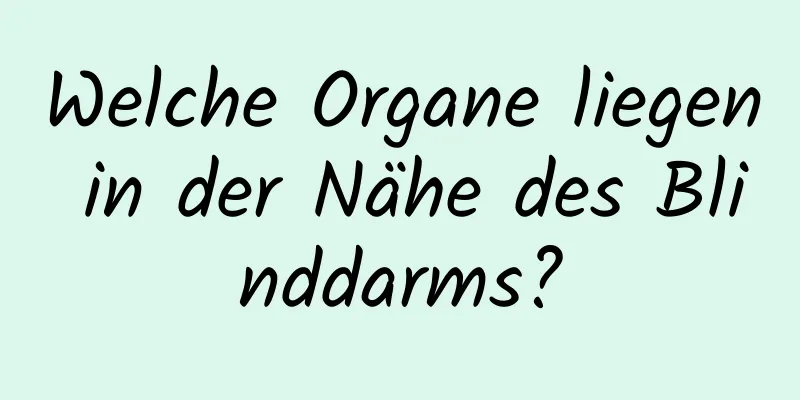 Welche Organe liegen in der Nähe des Blinddarms?