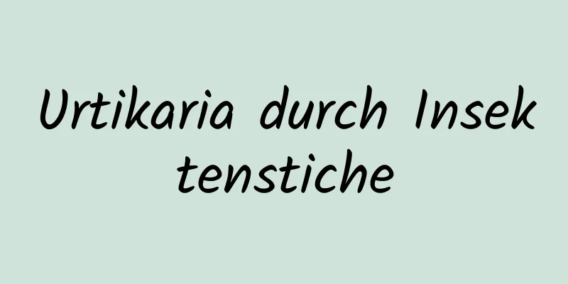 Urtikaria durch Insektenstiche