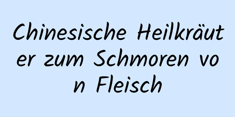 Chinesische Heilkräuter zum Schmoren von Fleisch