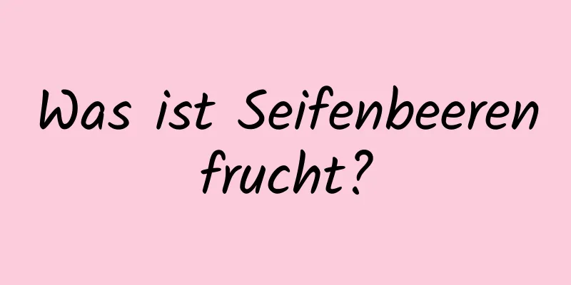 Was ist Seifenbeerenfrucht?