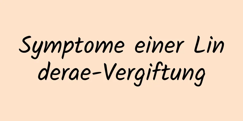 Symptome einer Linderae-Vergiftung