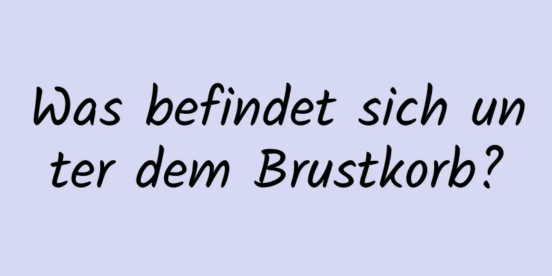 Was befindet sich unter dem Brustkorb?