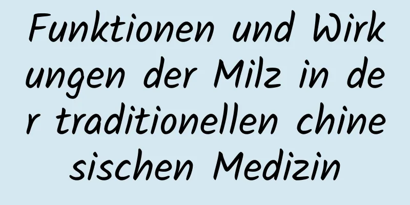 Funktionen und Wirkungen der Milz in der traditionellen chinesischen Medizin