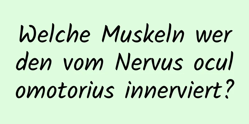 Welche Muskeln werden vom Nervus oculomotorius innerviert?